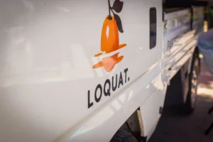 loquat oysters long beach
